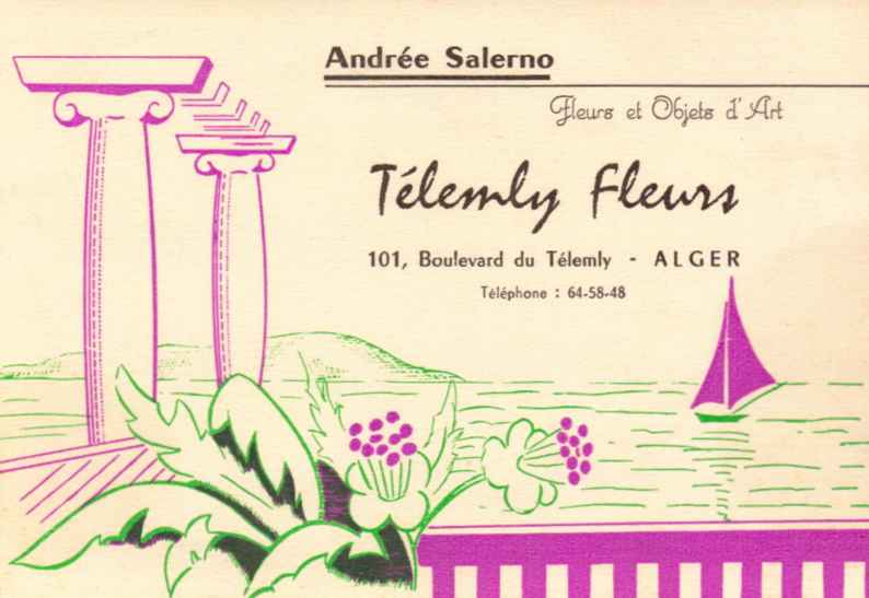 Telemly fleurs