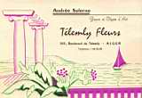 Telemly fleurs