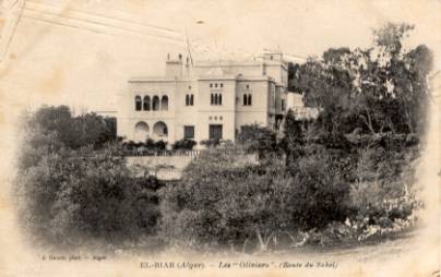 EL-BIAR Les Oliviers